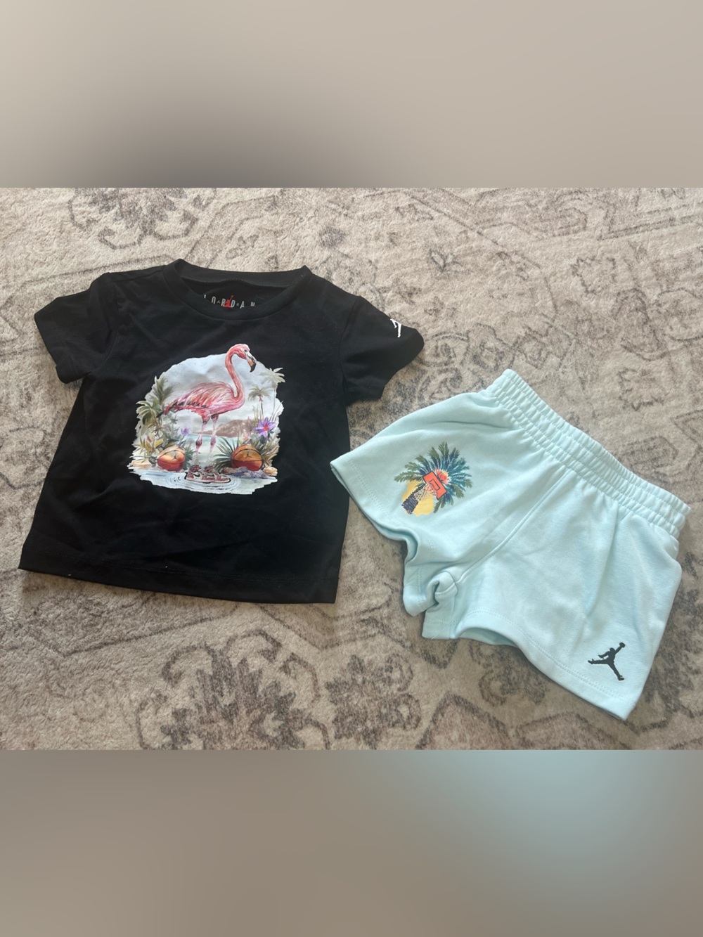 SUMMER SALE 🚨Unisex Kids' Jordan Flamingo Graphic T-Shirt & Knit Shorts Set